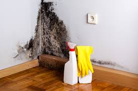 Best Dehumidification Services  in Gardner, KS